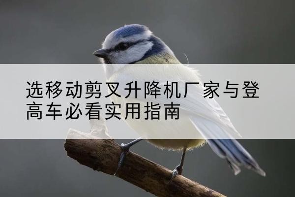 舞钢电动升降机厂家-选移动剪叉升降机厂家与登高车必看实用指南