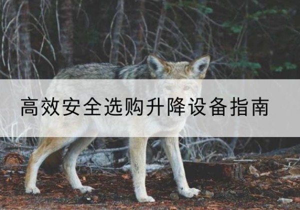 舞钢升降货梯厂家推荐-*安全选购升降设备指南